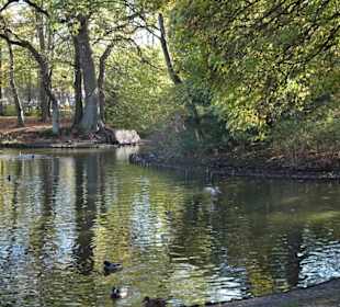 Spaziergang durch den Kurpark Wilhelmshaven