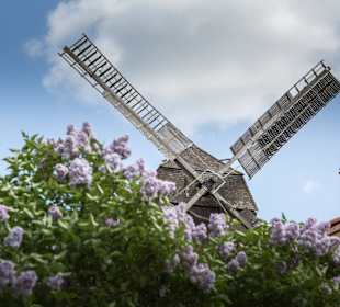 Stadtrundgang Werder (Havel)