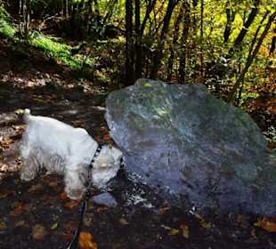 Vor dem Eingang der Oswaldhöhle