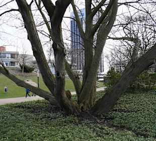 Anlage Planten un Blomen