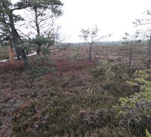 Wandern Bad Kissingen