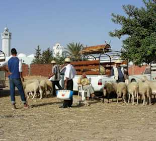 Mittwochsmarkt in Zarzis