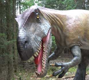 Dinosaurier Museum Altmühltal