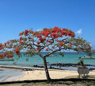 Geführte Touren Andrea Rodrige