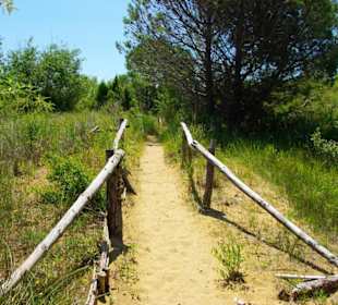 FKK-Weg-Bereiche