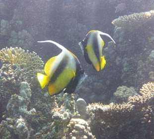 Ausflug mit Joseph&Marlen