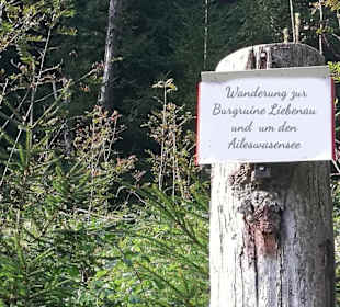 Wanderung zur Burgruine Liebenau