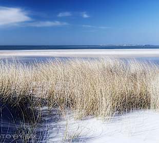 Kniepsand, Amrum