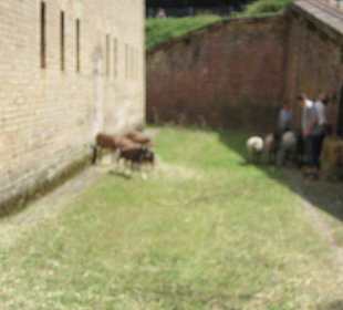 Mittelalterlichen Tage in der Festung