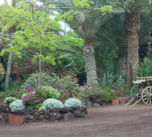 Oasis Park 