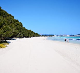Strand Playa/Platja de Muro