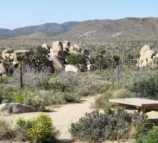 Joshua Tree National Park
