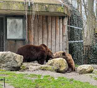 Tiergarten Straubing