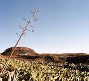 Festung La Fotaleza bei Chipude