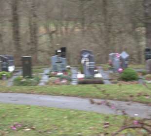 Friedhof Oferdingen 'Zum Wäldle'