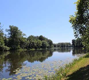 Pałac i ogród w Wilanowie