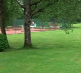 Wanderung rund um den Stadtsee