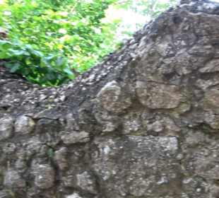 Burgruine Niederhaus