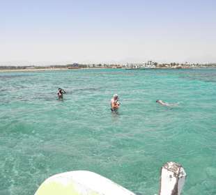 Blick vom Glasbodenboot