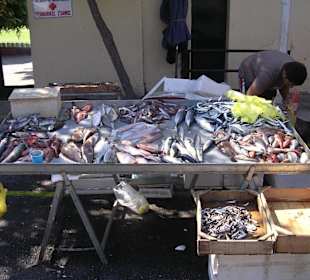Fischstand