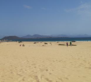 Dünenlandschaft bei Corralejo