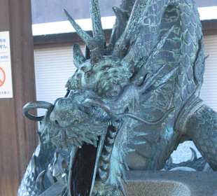 Der Drache
