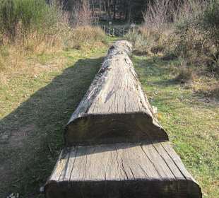 Der wunderschöne Sandwiesenweiher