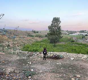 Wandern Castelvetrano