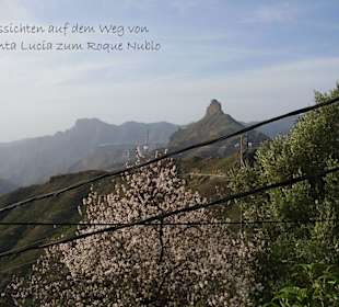 Auf dem Weg von Santa Lucia zum Roque Nublo