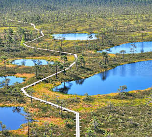 Mukri Bog vom Aussichtsturm