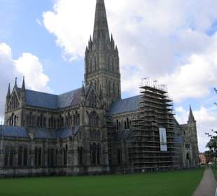 Schwierig sie ganz aufs Bild zu bekommen 