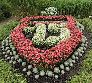 15 Jahre Kreislehrgarten