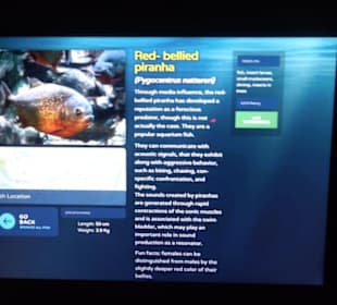 National Aquarium Malta