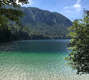 Wandern Kochelbergalm - Aulealm