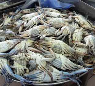 Fischmarkt Abu Dhabi