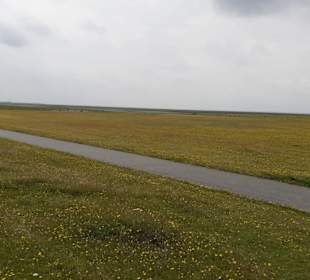Seehundaufzuchtstation Friedrichskoog