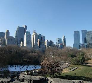 Blick über den Central Park
