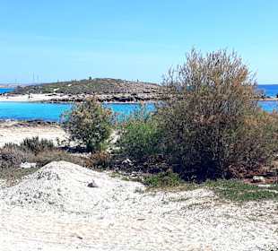 Nissi Beach