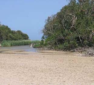 Kurz vor der Cala di Luna
