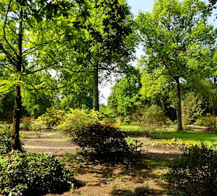 Impressionen vom Rundweg durch den Park