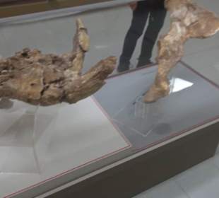 Ghar Dalam Cave & Museum