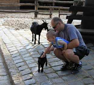 Streichelzoo im Zoo Budapest
