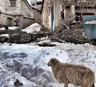 Unser schöner Atlas- Immer einen Besuch wert!