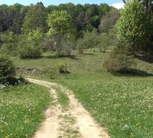 Premiumwanderweg Hochgehschätzt