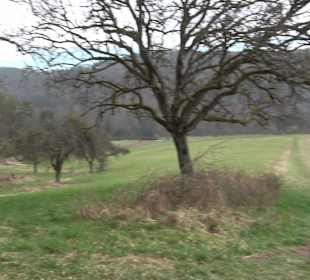 Unterjesinger Wengertwegle