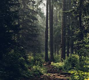 Wandern Walkertshofen
