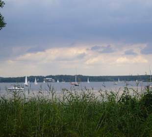 Blick auf den Wannsee