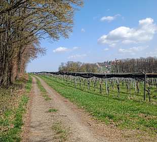 Brodlsulzweg 