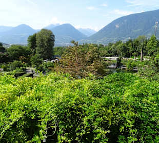 Impressionen vom Rundgang durch die Gärten