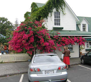 In Russel wohnt man gern